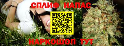 спиды Кинель
