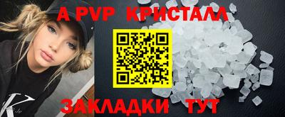 ПСИЛОЦИБИНОВЫЕ ГРИБЫ Кингисепп