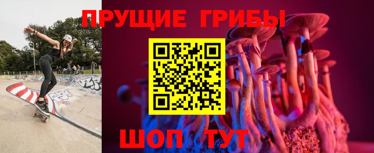 Королёв  Галлюциногенные грибы Magic Shrooms  Вход с VPN 